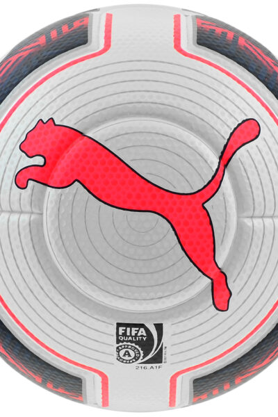 PIŁKA NOŻNA PUMA EVO POWER 2 MATCH FIFA /82221 15