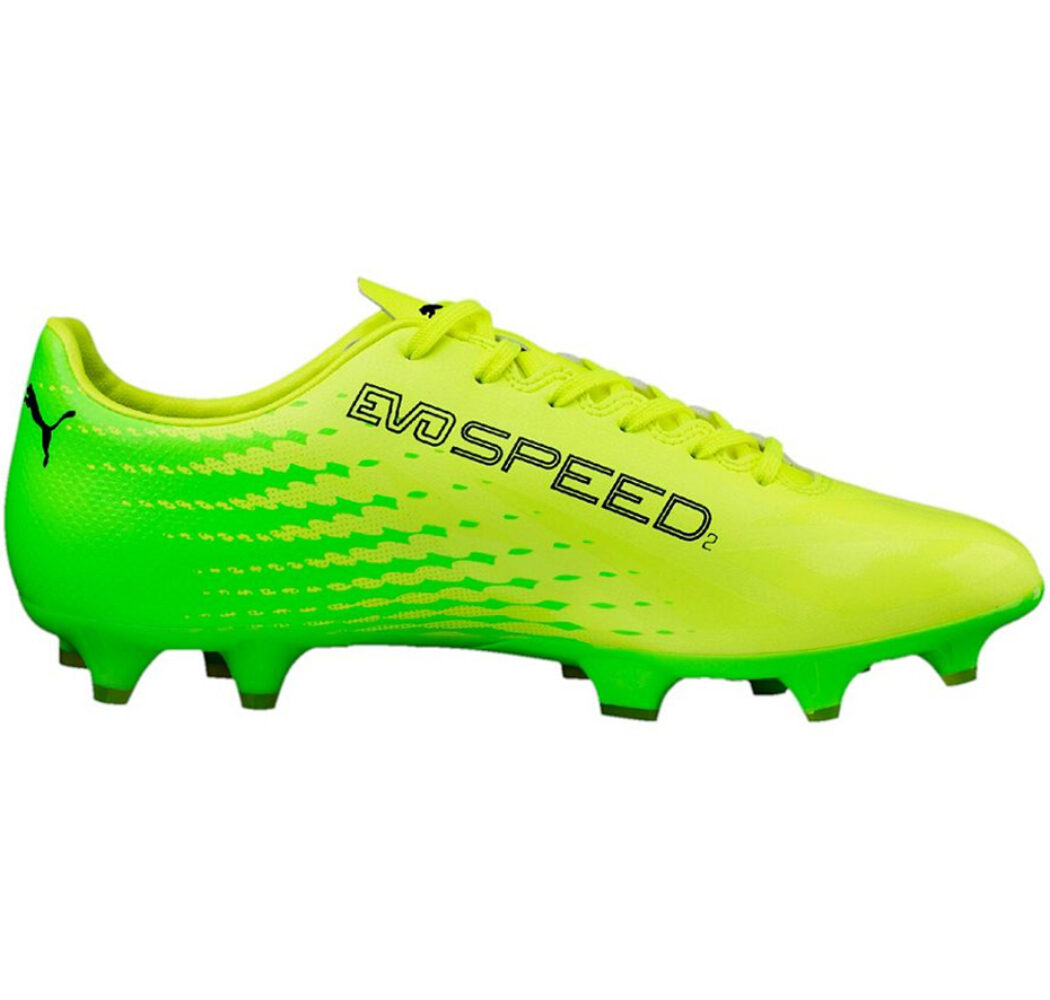 Buty piłkarskie Puma Evo Speed 17.2 FG 104013 01