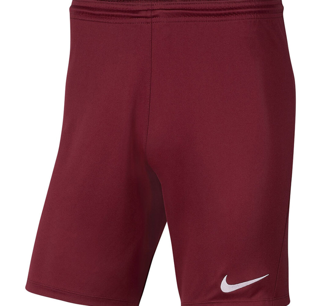 Spodenki męskie Nike Dry Park III NB K bordowe BV6855 677
