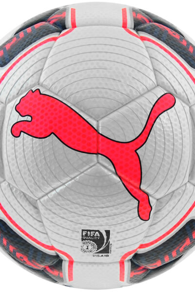 PIŁKA NOŻNA PUMA EVO POWER 3 TOURNAMENT roz 5 /82222 15
