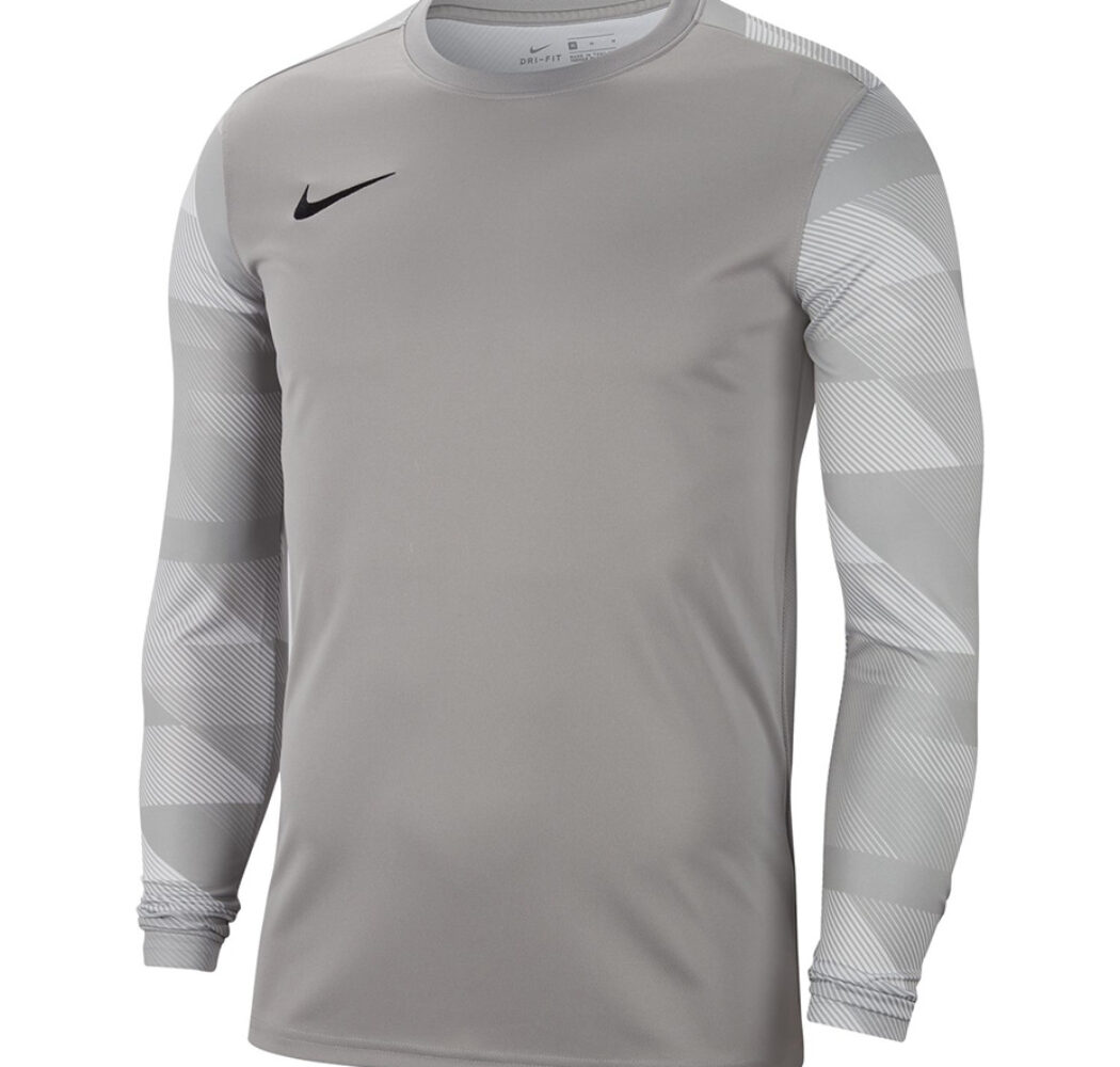 Bluza bramkarska męska Nike Dry Park IV JSY LS GK szara CJ6066 052