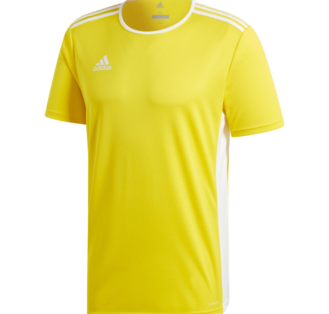 Koszulka dla dzieci adidas Entrada 18 Jersey JUNIOR żółta CF1039