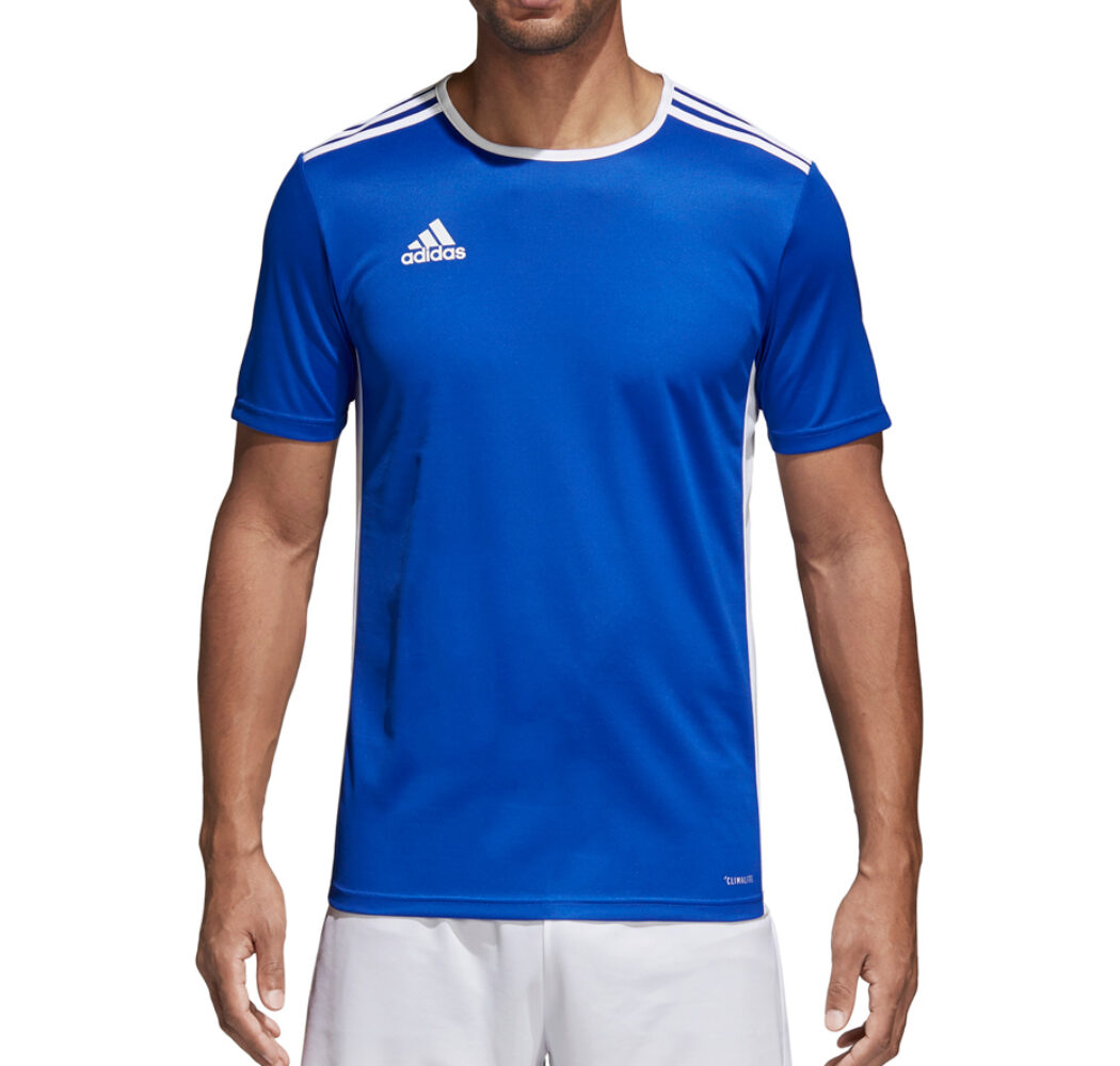 Koszulka męska adidas Entrada 18 Jersey niebieska CF1037