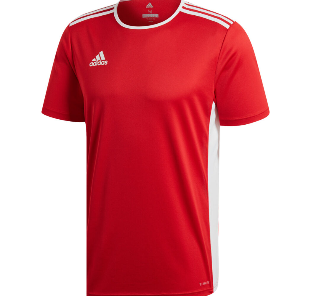 Koszulka dla dzieci adidas Entrada 18 Jersey JUNIOR czerwona CF1050
