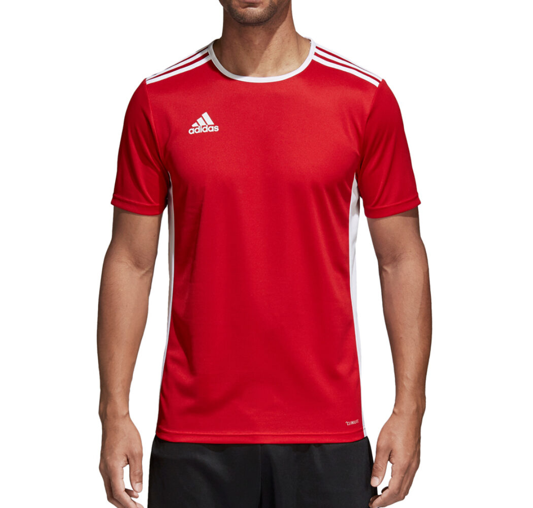 Koszulka męska adidas Entrada 18 Jersey czerwona CF1038