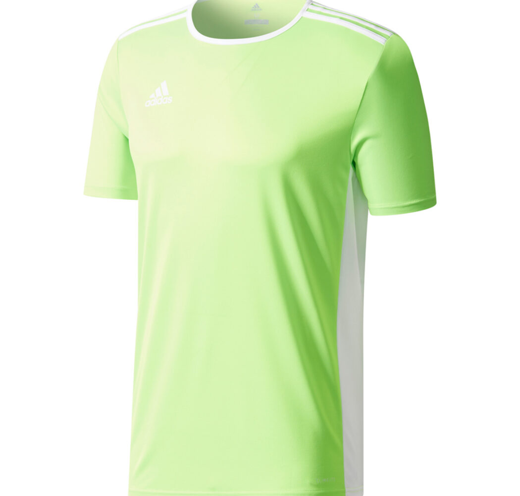 Koszulka dla dzieci adidas Entrada 18 Jersey JUNIOR limonkowa CE9755