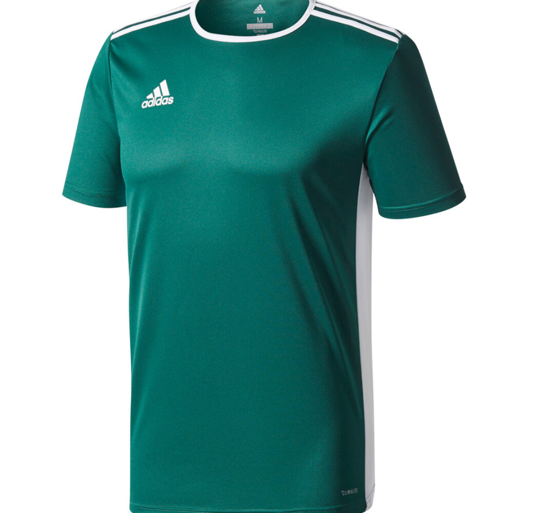 Koszulka dla dzieci adidas Entrada 18 Jersey JUNIOR zielona CE9563