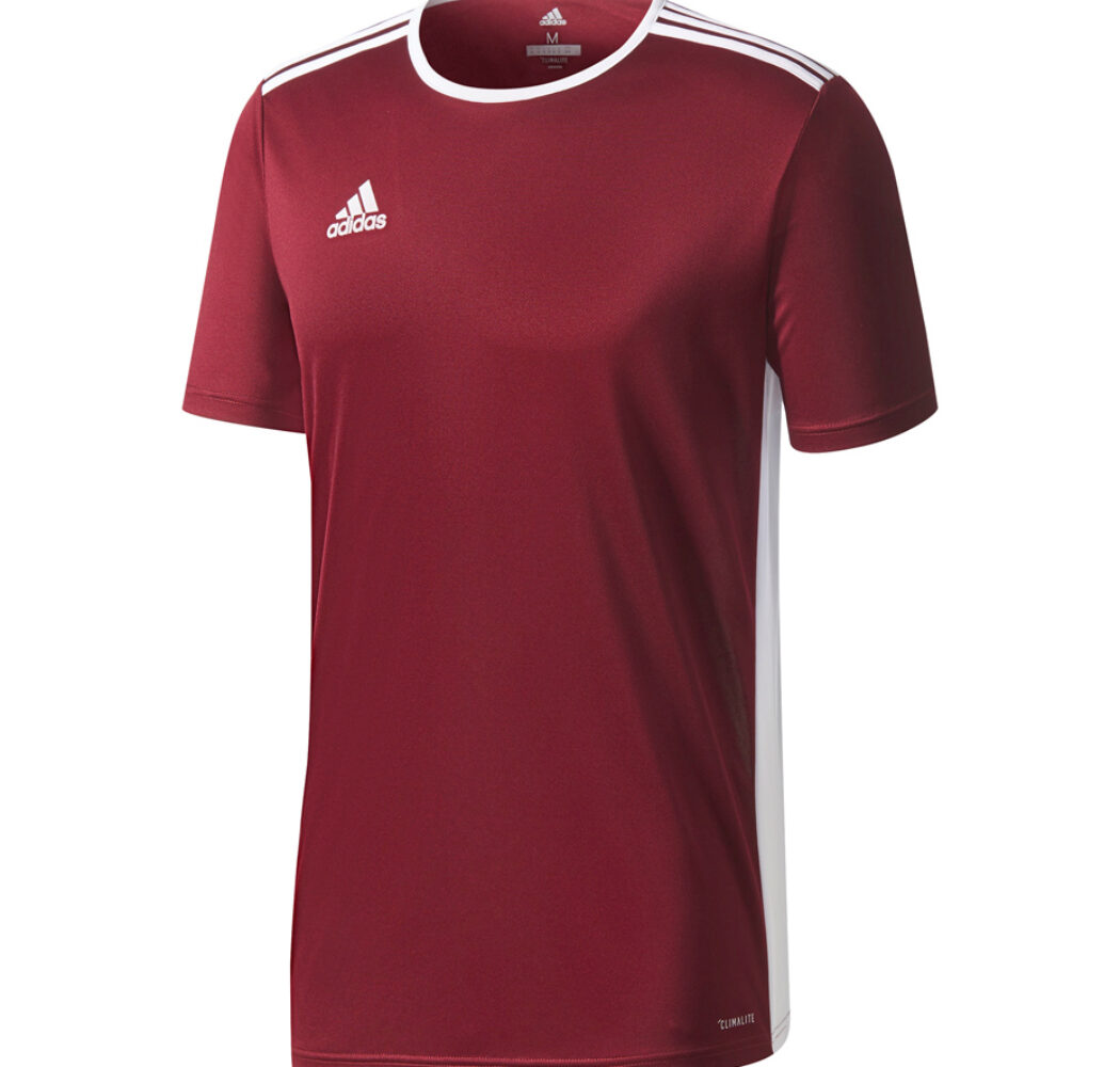 Koszulka dla dzieci adidas Entrada 18 Jersey JUNIOR bordowa CE9564