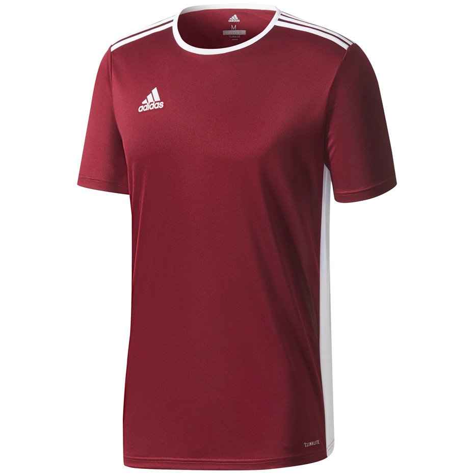 Koszulka dla dzieci adidas Entrada 18 Jersey JUNIOR bordowa CE9564