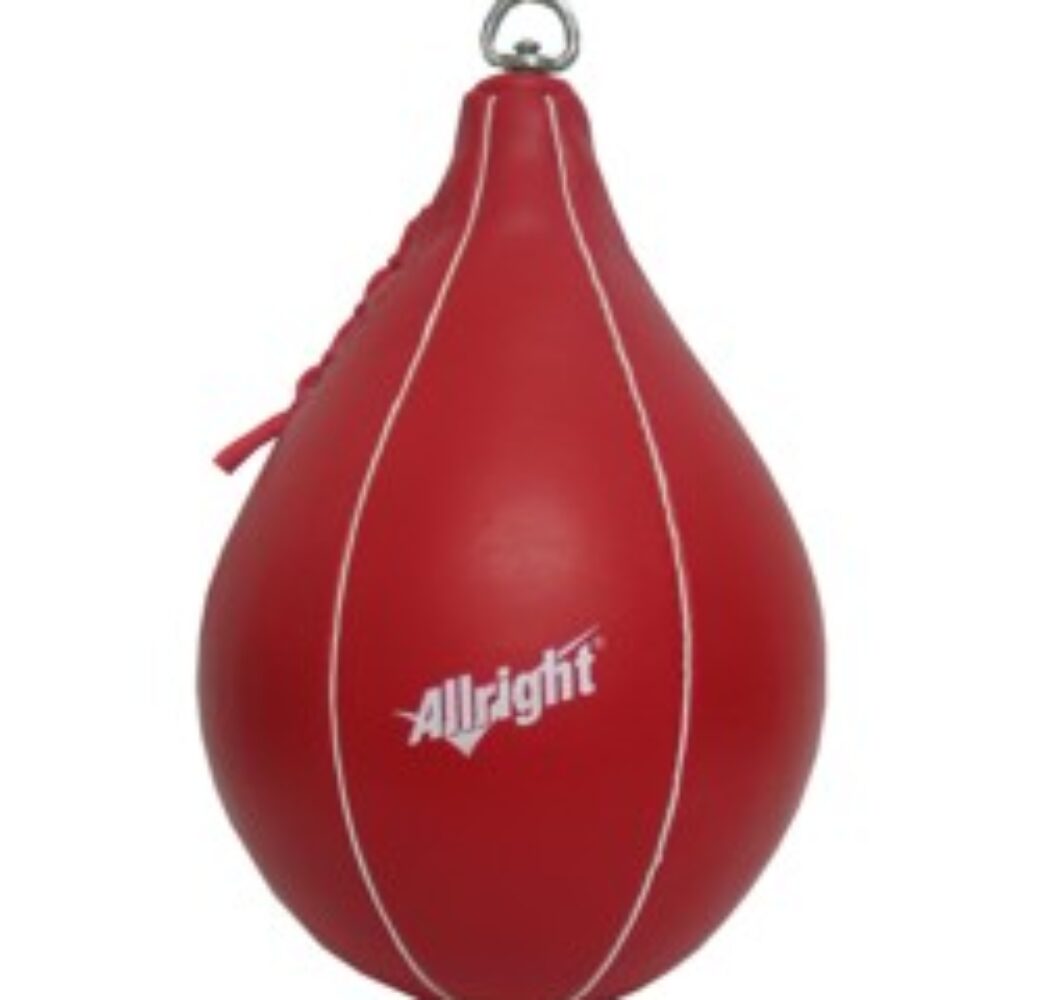 GRUSZKA BOKSERSKA ALLRIGHT PODWIESZANA
