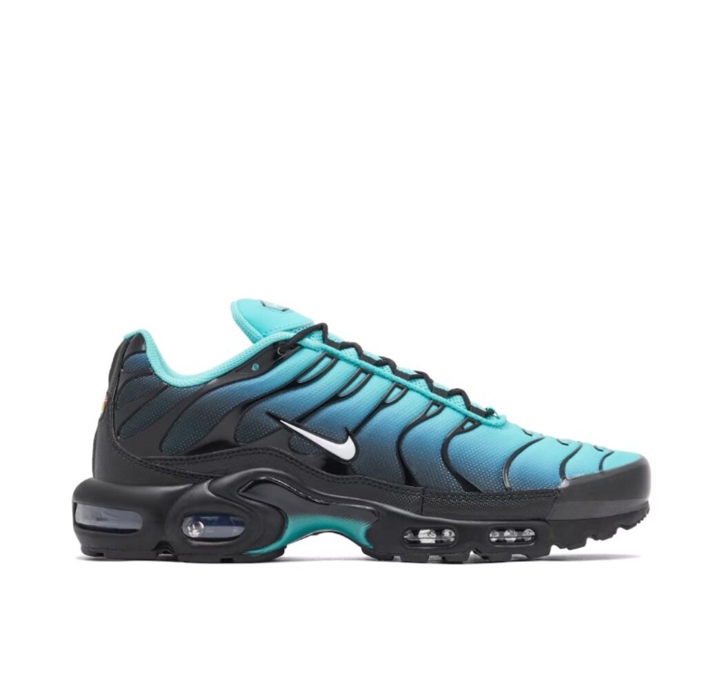 Nike Air Max Plus TN Light Retro DM0032-401 czarne buty z siateczką